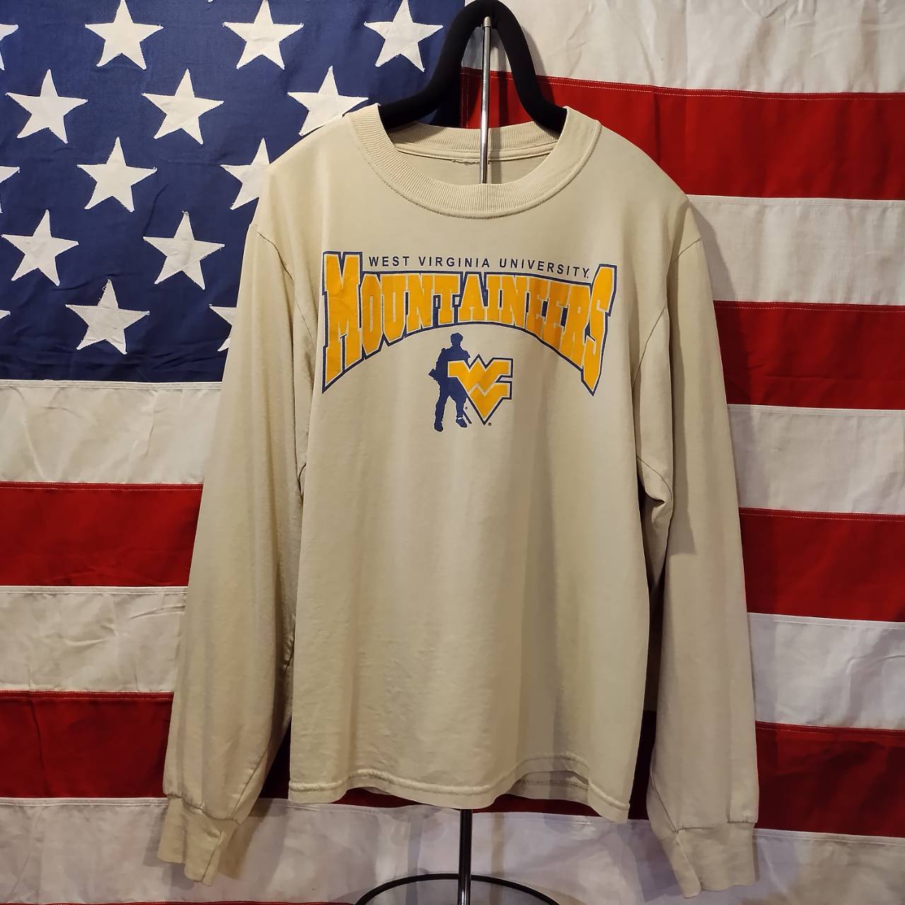 Used ロンT◆NCAA West Virginia Mountaineers ベージュ◆USA古着 ヴィンテージ