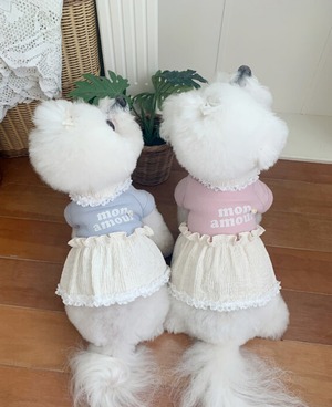 予約  【bowbow】  クレームドレス    (ピンク)