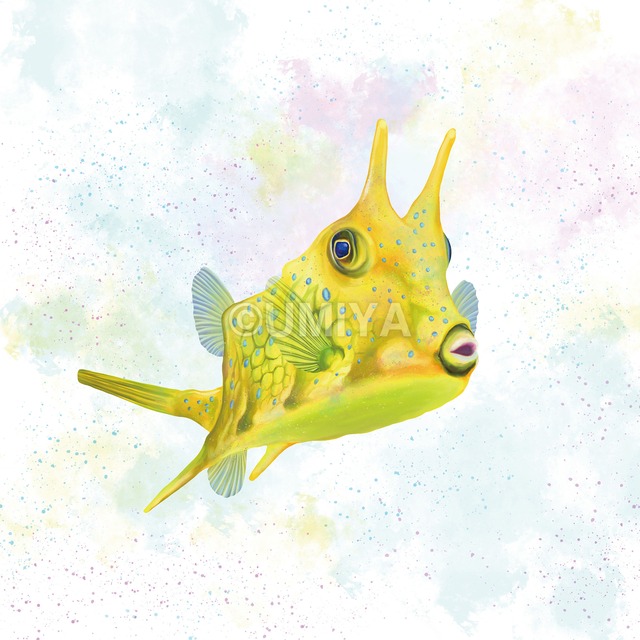 【ファブリックパネル／30×30cm】コンゴウフグ