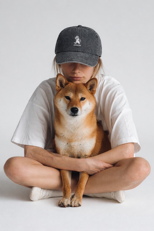 cheeky柴犬　vintage加工キャップ(black)