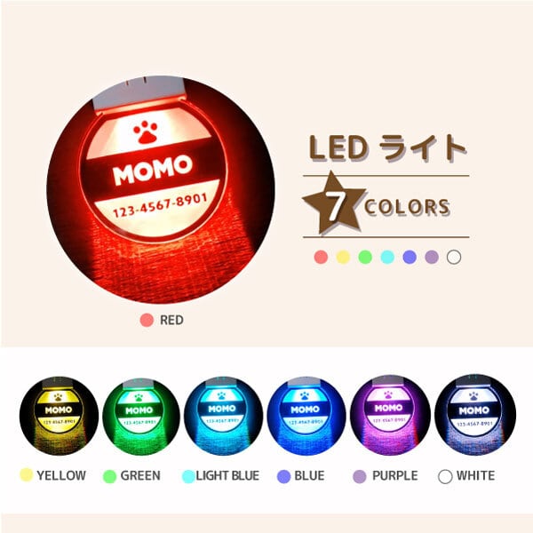 7色に光る！LEDキーホルダー お散歩｜名入れ｜うちの子 ペット グッズ