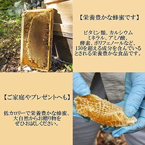 1st selection とちはちみつ 500g チューブ 国産 蜂蜜 無添加 純粋蜂蜜