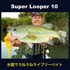 スーパールーパー10新色