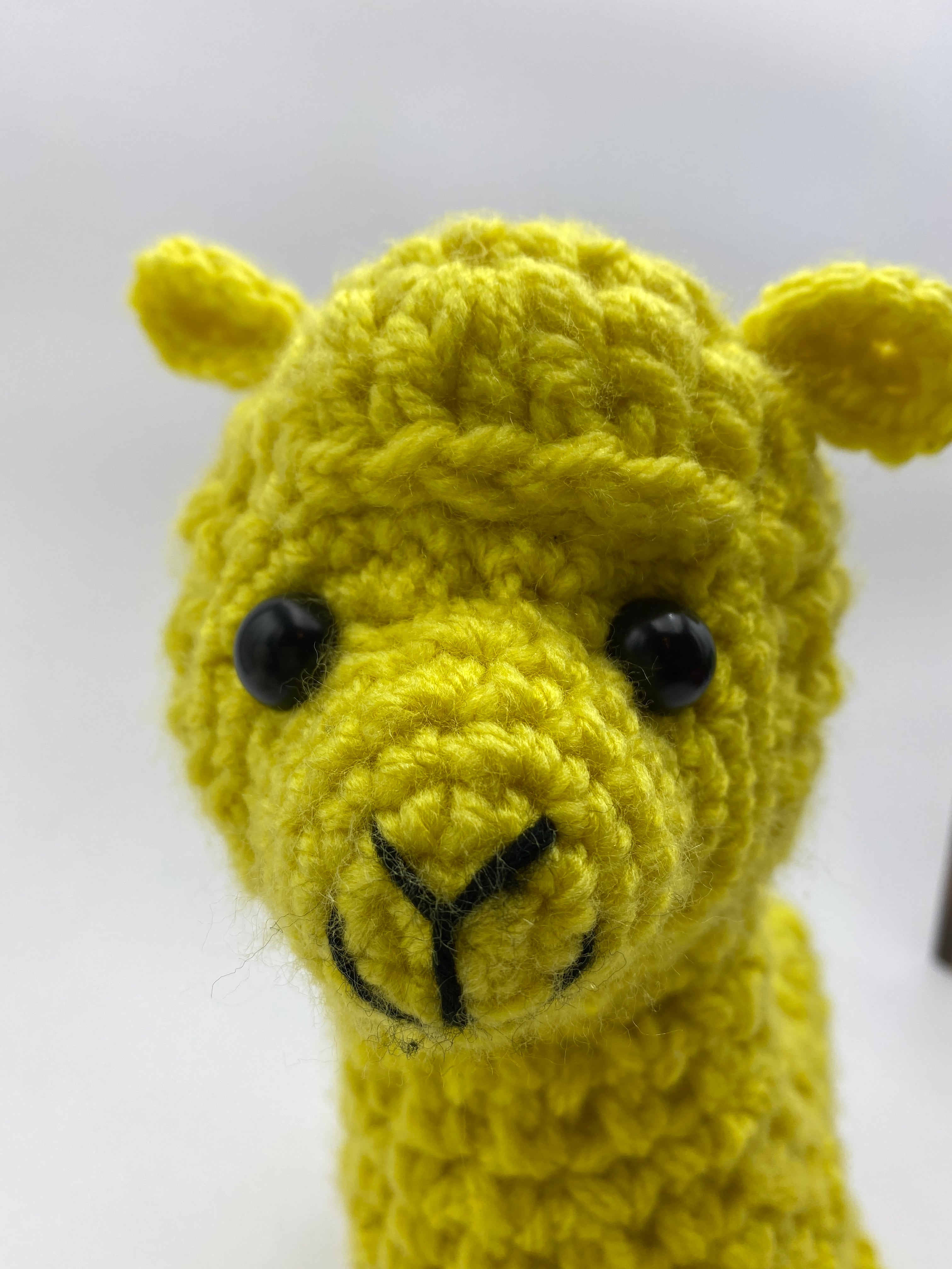 アルパカ 黄色 あみぐるみ | ギャラリーGODA
