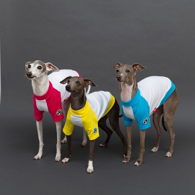 ラグランTシャツ　pink / イタグレ服