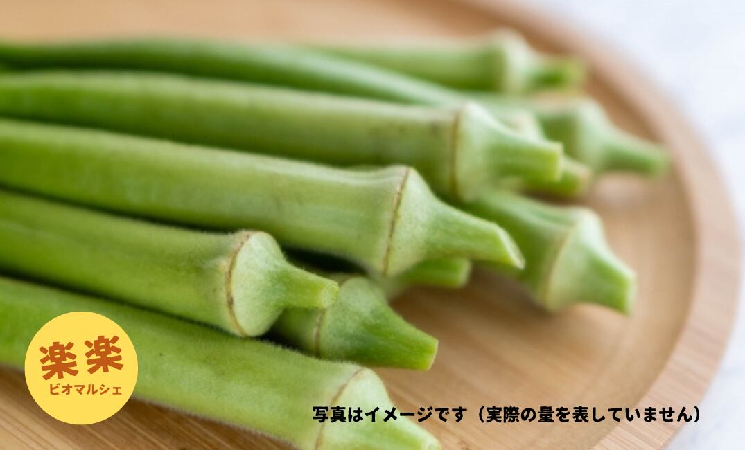 丸オクラ