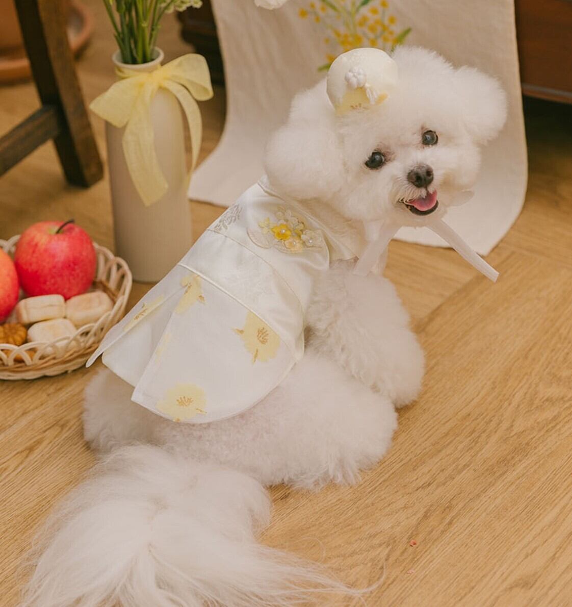 予約【todley】Blossom Hanbok Durumagi《Yellow》