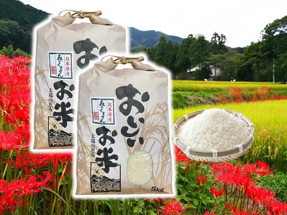 熊本県産お米（森のくまさん）10kg（5㎏×2袋） | すみれファーム