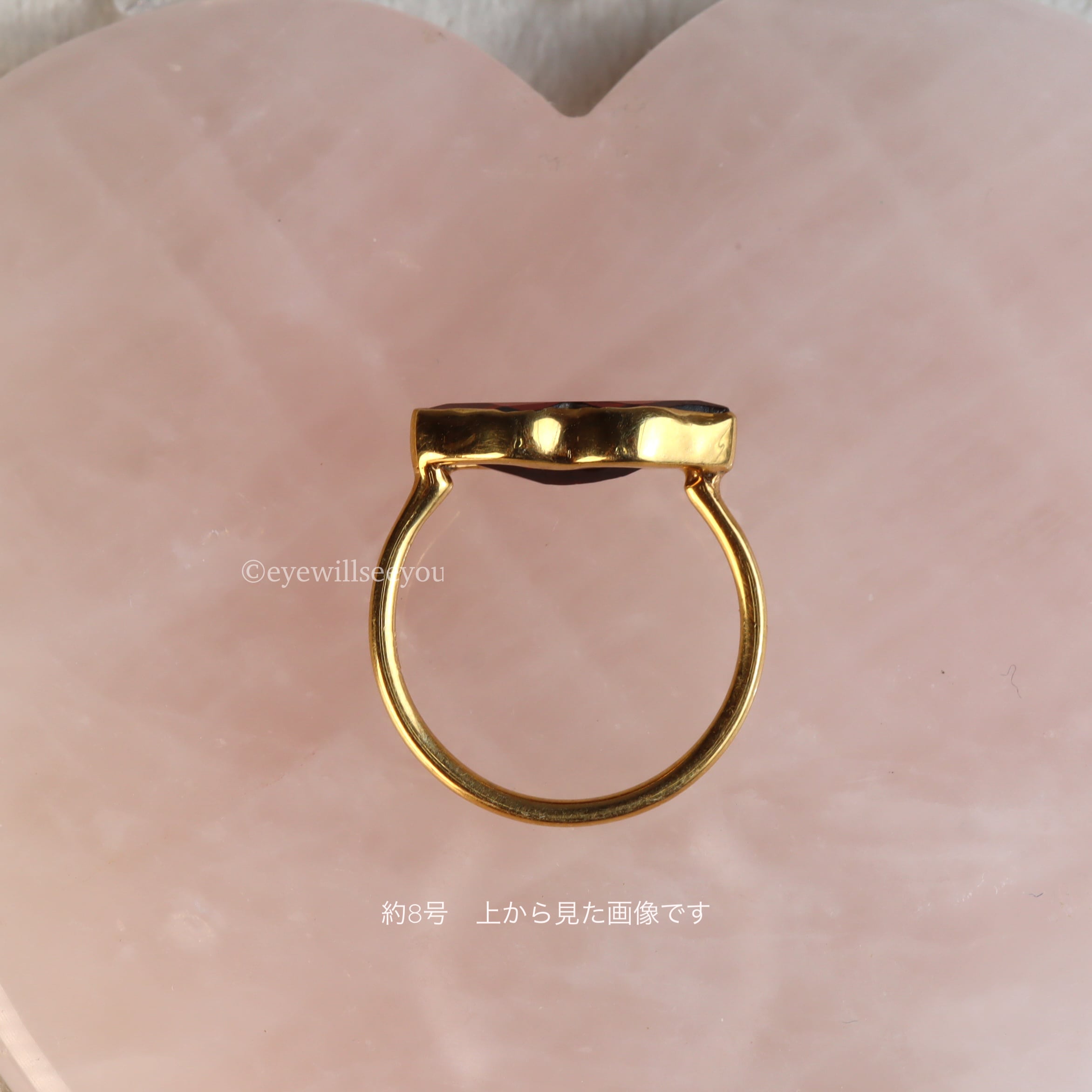 6号〜約11号) Garnet Lip ring ガーネットリップリング | eyewillseeyou