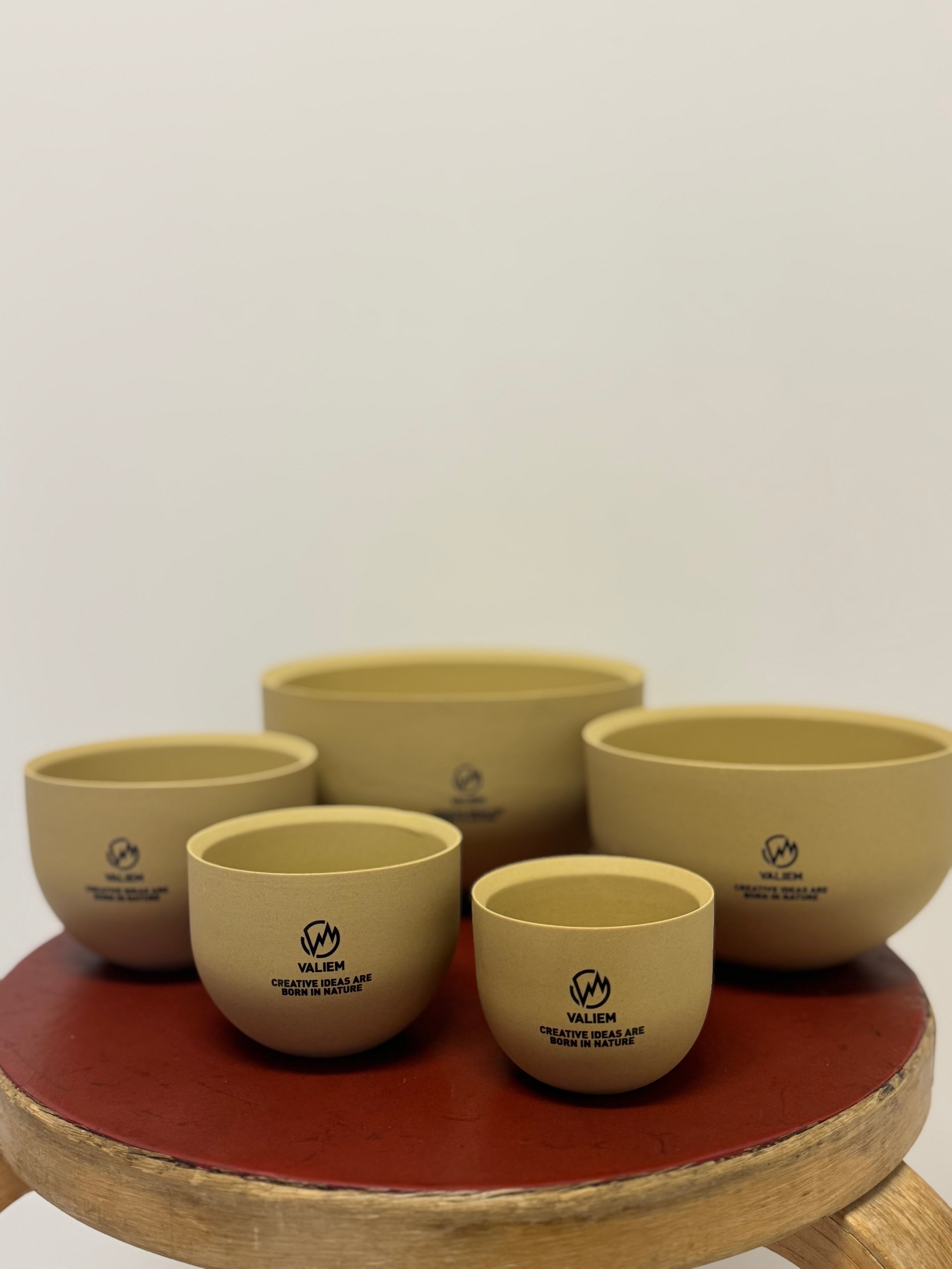 VALIEM GHOST BOWL（Sand beige / 全サイズセット） | 青坊主-aobouzu-