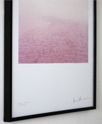 THE PINK RIVER by Anne Schwalbe [SIGNED]