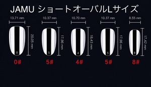 ネイルチップ：JAM260022　NailTipCollection