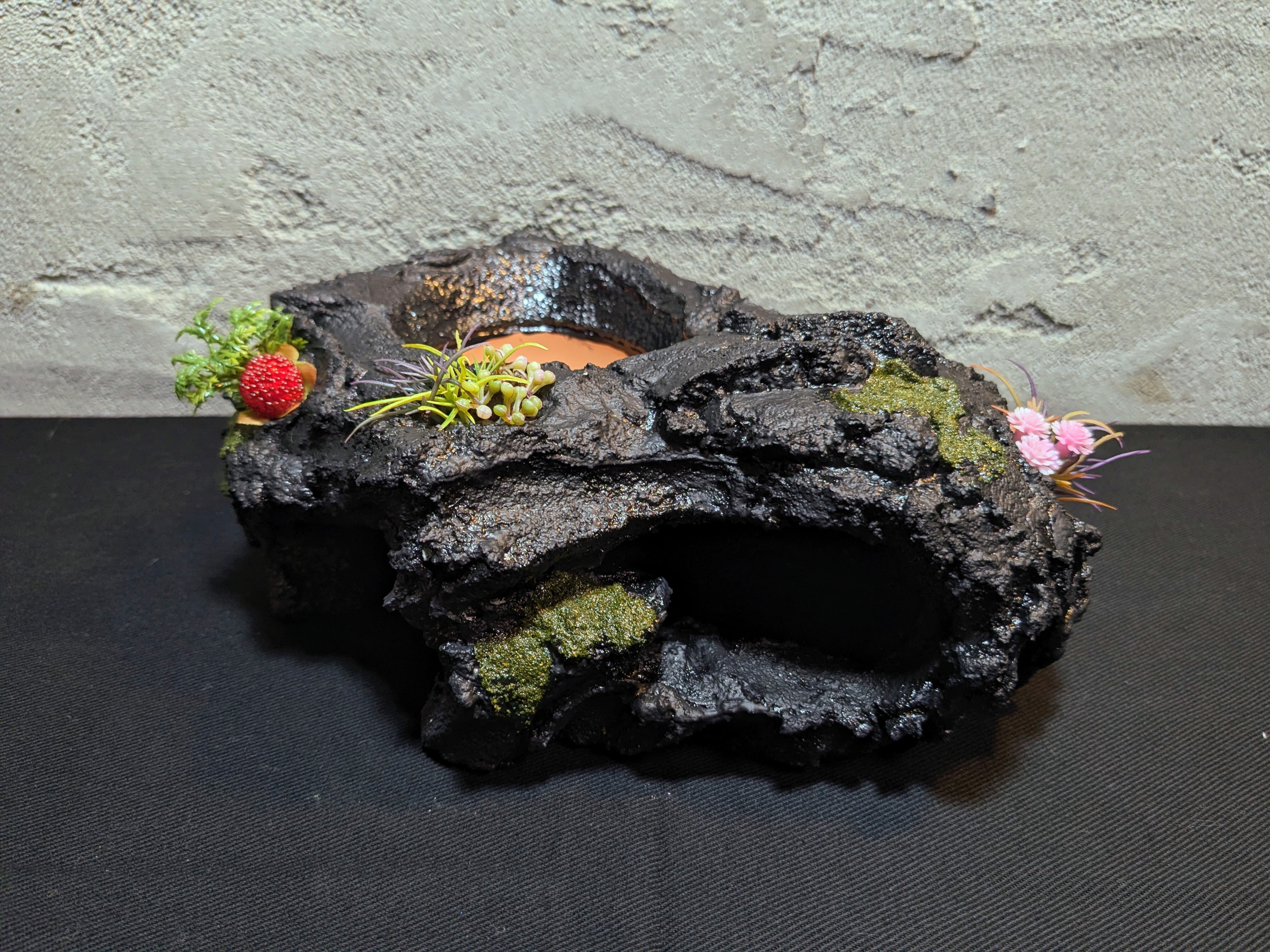 爬虫類用造形アート ともえ屋