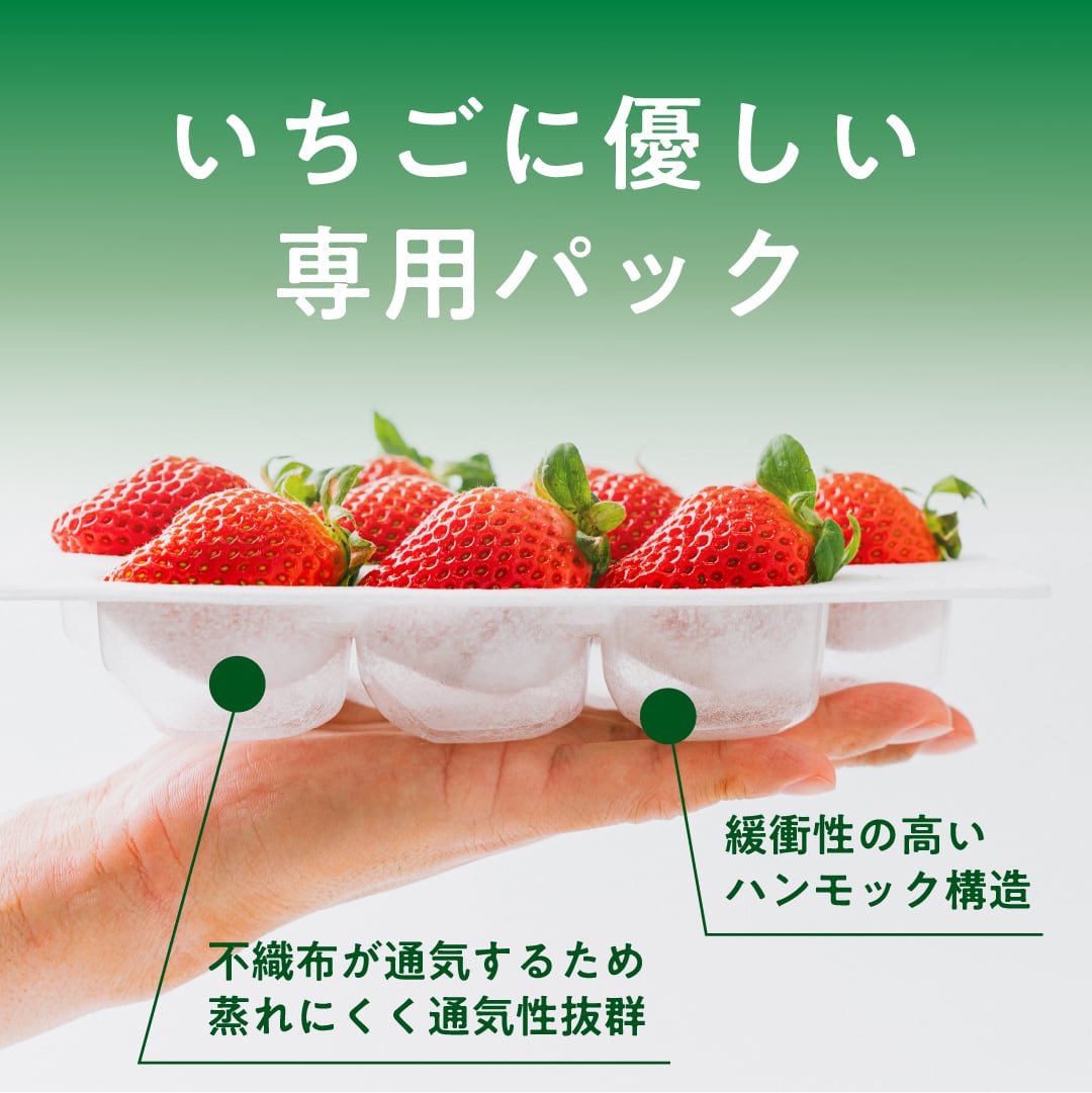 お歳暮/冬ギフト】雅乃苺 淡雪 400g 熊本県産 高級 白いちご 希少な淡