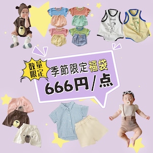 季節限定666円/点福袋