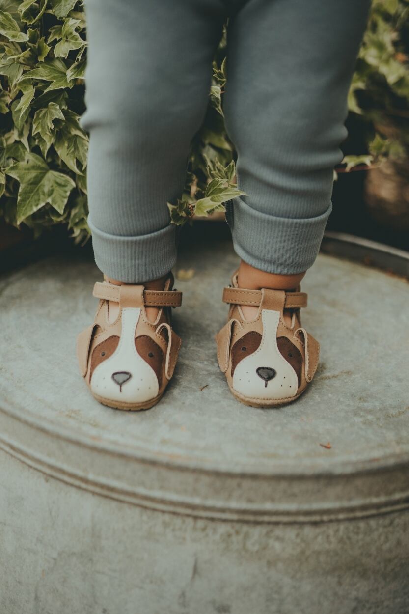 12-18m LAST1〉Donsje/Spark Special | Saint Bernard | Treize