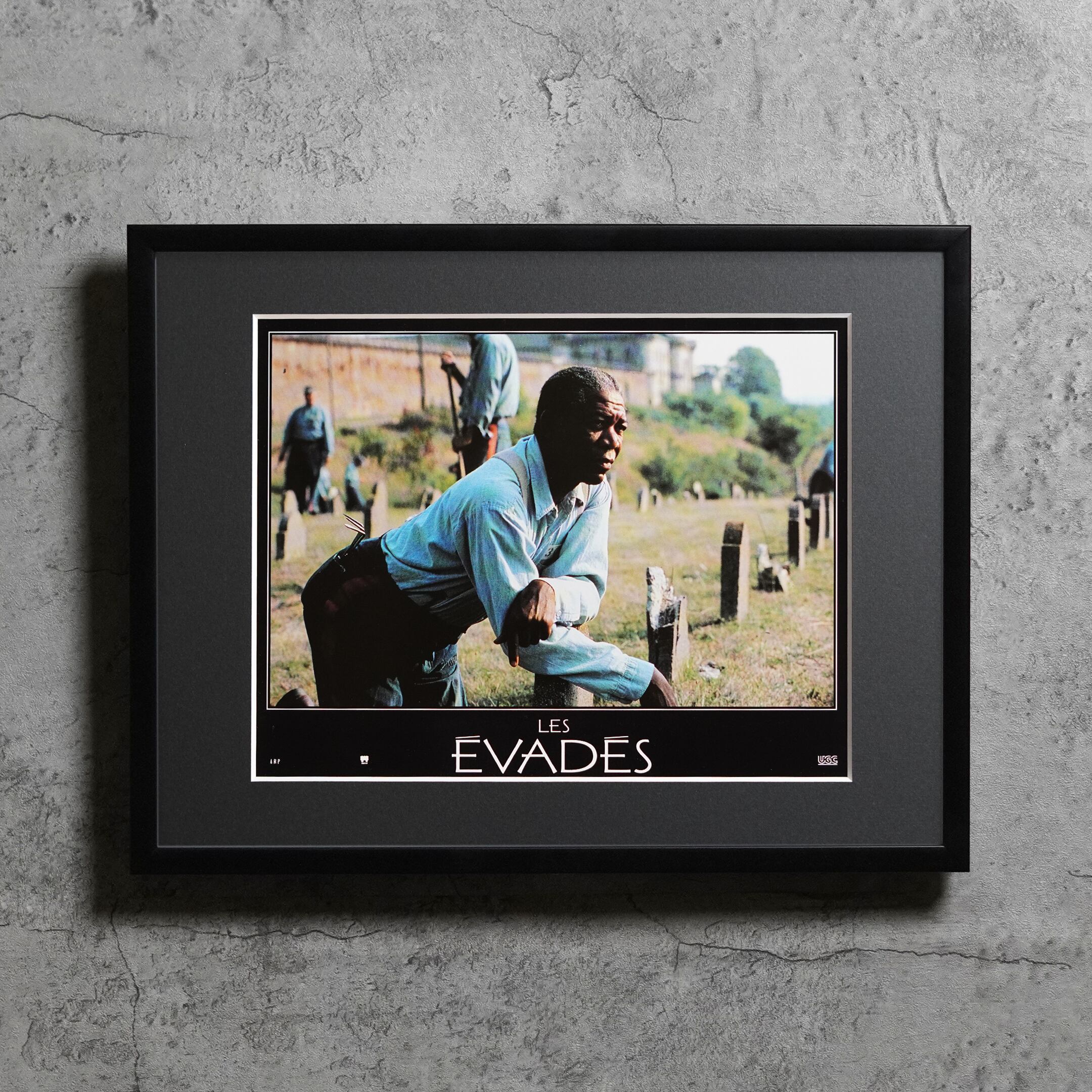1994(1995) / The Shawshank Redemption / French lobby card / 396x306mm【LC00000237103】