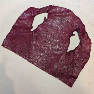 エイ革ハギレ【頭部】C9F-008　※浅草橋中央店販売商品