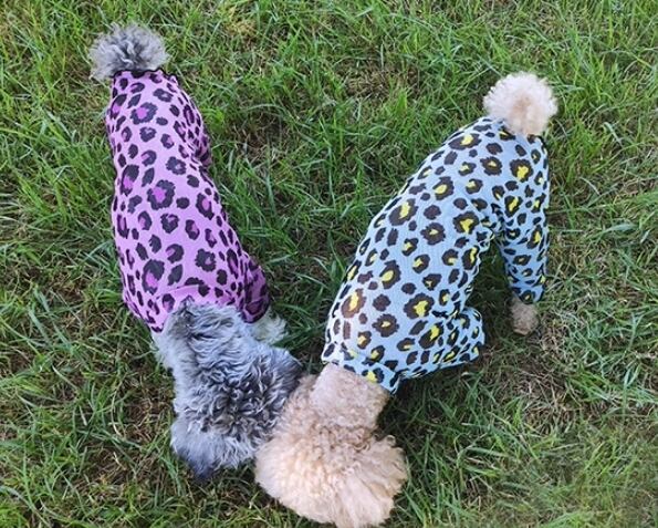 ドッグ 犬 小型犬 ドッグウェア アウター つなぎ 日焼け防止 スリム 細身 袖付き アニマル メッシュ カジュアル おしゃれ かっこいい エキゾチック ラフ ボーイッシュ スポーティー 個性的 クール 存在感 迷彩 ヒョウ柄 レオパード 春 夏 ロングシーズン サマーシーズン 春服 夏服 男の子 女の子 成犬 お出かけ アウトドア キャンプ リゾート 旅行 公園 休日 お花見 ツーリング 庭 ガーデン 朝 散歩 ウォーキング インスタ映え 夏休み XS S M L XL