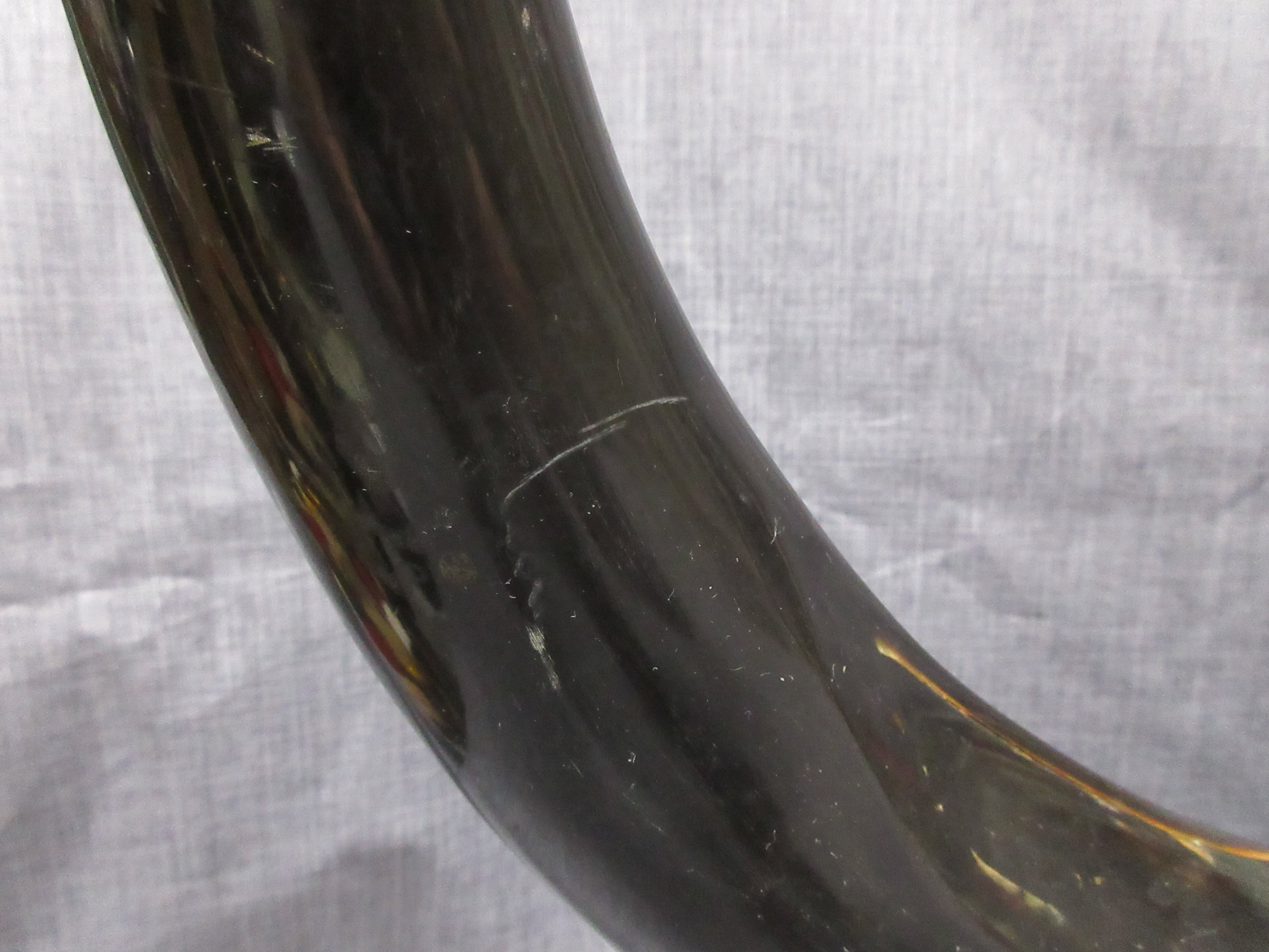 水牛の角 彫刻無し 民芸品 置物 (大) type-C | ギャラリー寿