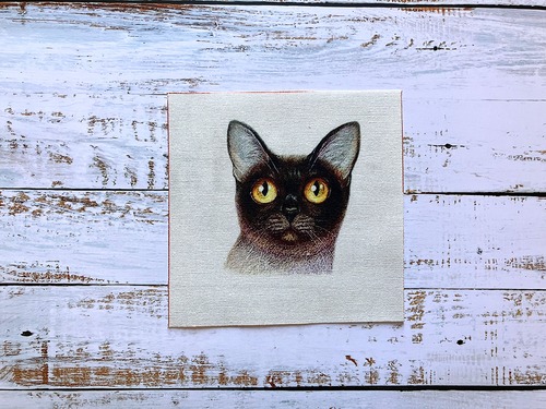 猫の端切れ布　19cm×14cm　フランス製　[FR-1]