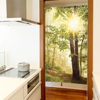 【受注生産】 のれん  光芒  幅85ｘ丈150cm