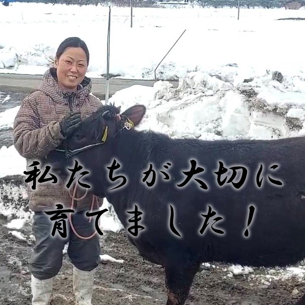 食べ比べ500g 約2名～3名分【カタロース、バラ、赤身】 冷凍 | アム