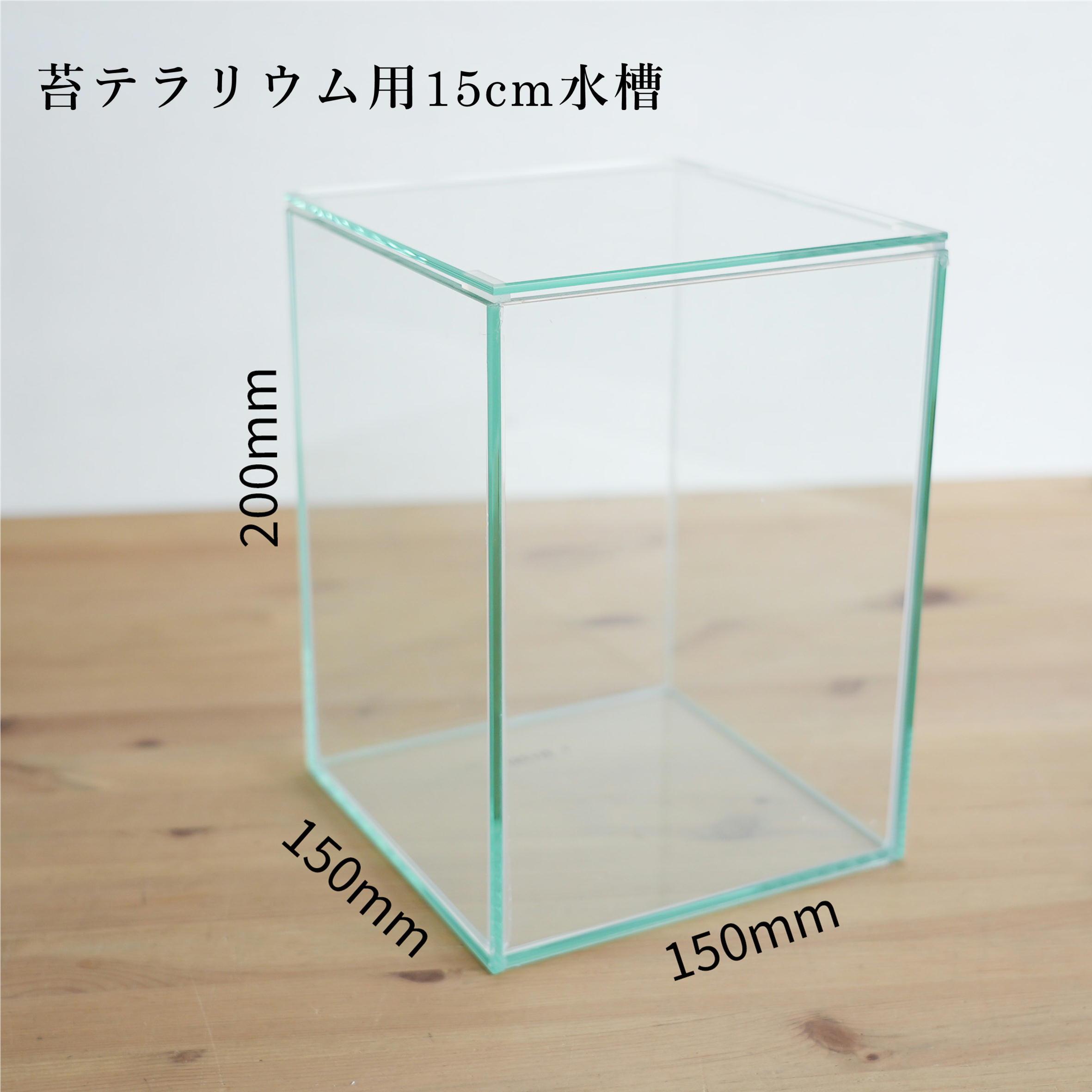 ガラス容器・選べる2種類】 苔テラリウム用 15cmガラス水槽