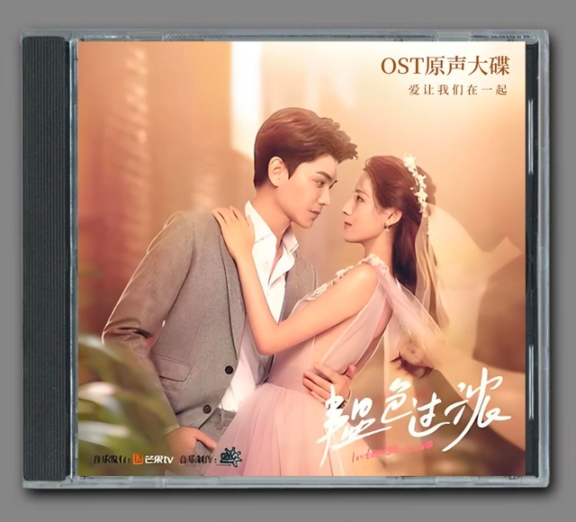 ※ LP盤 ※　私の完璧な秘書　わたしの完璧な秘書　OST　レコード LP盤 ※ 私の完璧な秘書 わたしの完璧な秘書 OST レコード わたし