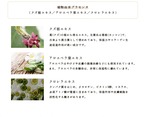 金箔化粧品「美麗妃ゴールデンローション詰め替え用(280ml)」