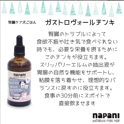 napani　ガストロヴォール 胃ケア チンキ 犬＆猫用 100ml（Gastrowohl Magen）New