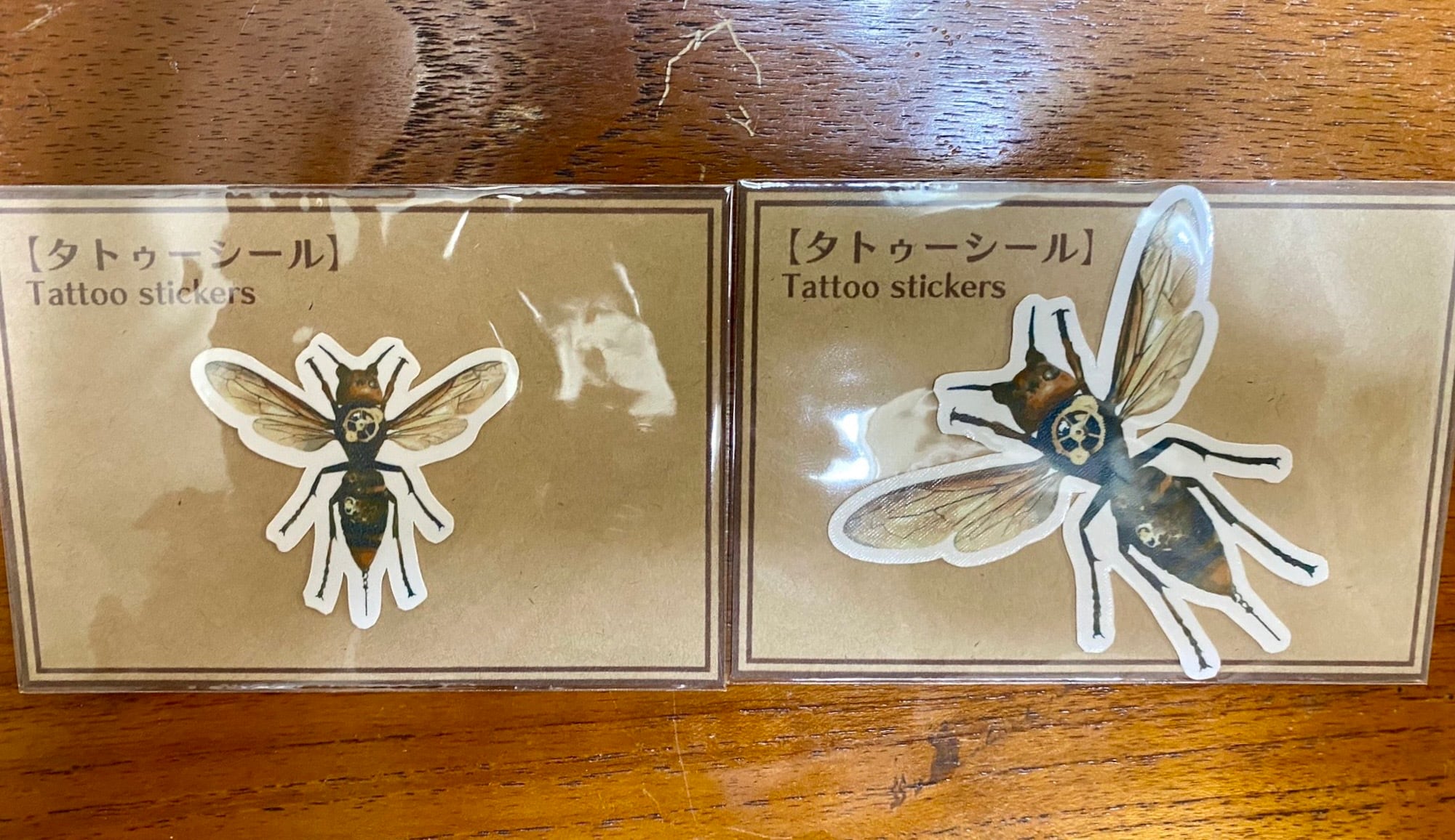 パプアキンイロクワガタ標本セット うつせみ標本屋／機械仕掛けの昆虫標本(パプアキンイロクワガタ