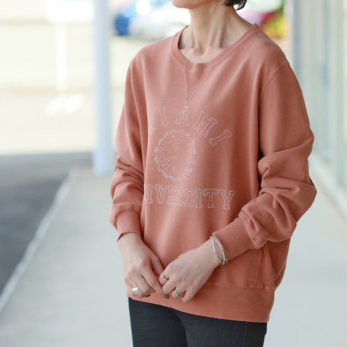 REMI RELIEF (レミレリーフ)　ヴィンテージフィニッシュ　カレッジプリント  スウェットトップス