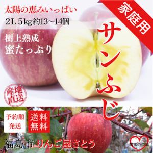 【家庭用】りんご サンふじ 自宅用 ２L ５kg 箱（約13～14個入り） 産地直送 送料無料 12月上旬～順次発送 福島 りんご屋さとう