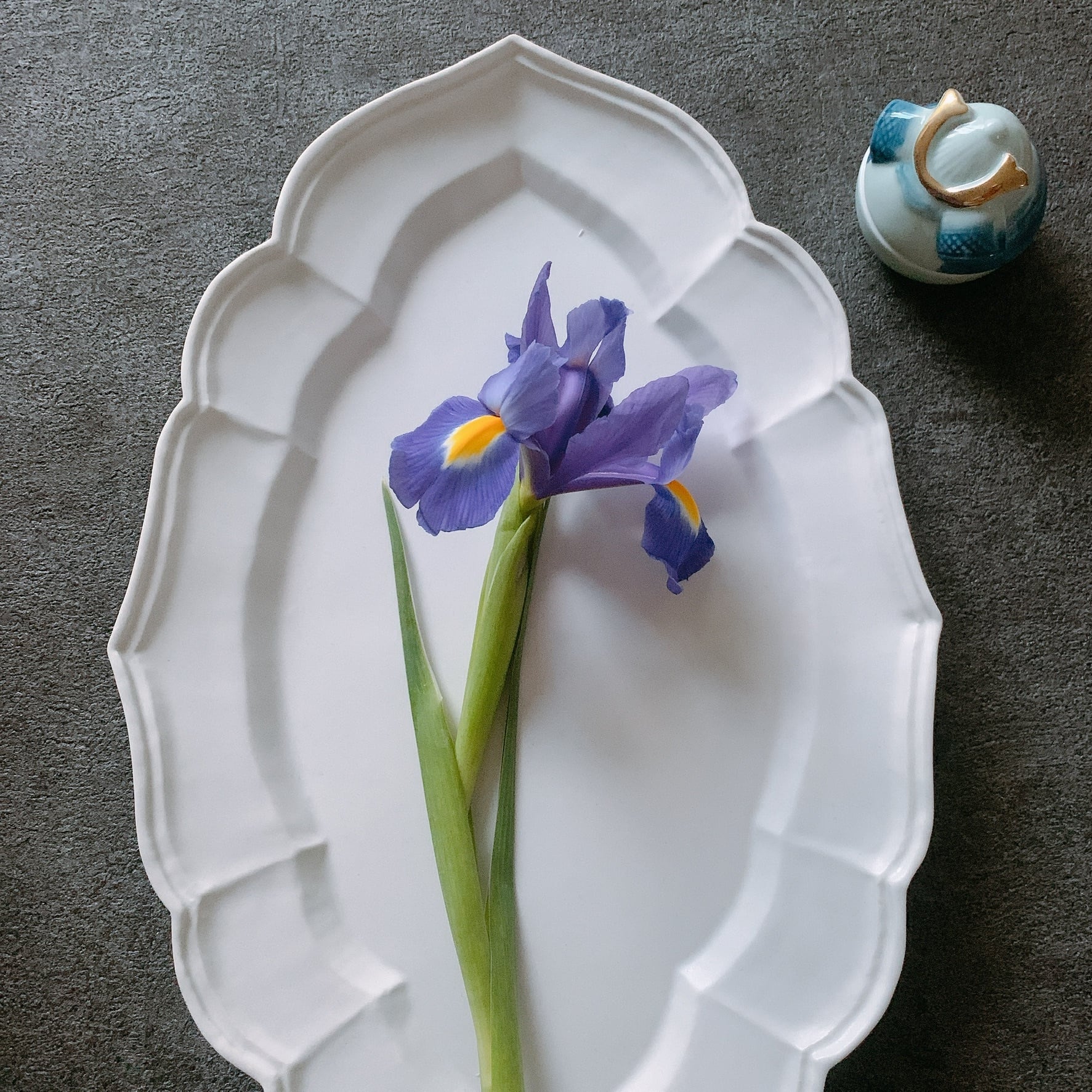 臼杵焼 オーバル皿L | Floraison Table フロレゾンテーブル