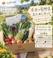 【初めての方に】奈良県産 有機野菜&旬野菜 おためし6品セット(1~3人向け)
