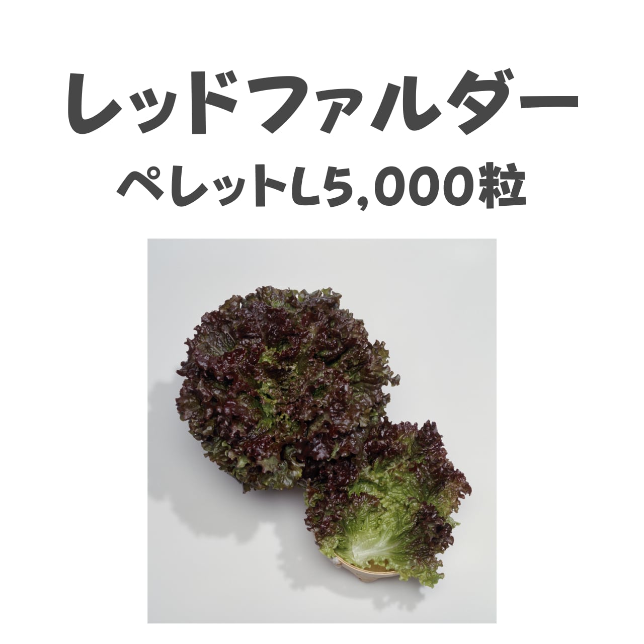 レッドファルダー レタス種子・ペレットL5,000粒