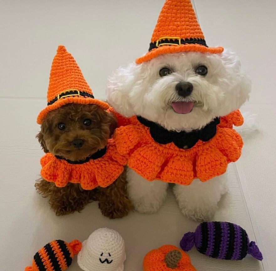 即納【BELELE】Halloween Knit Set《Orange》