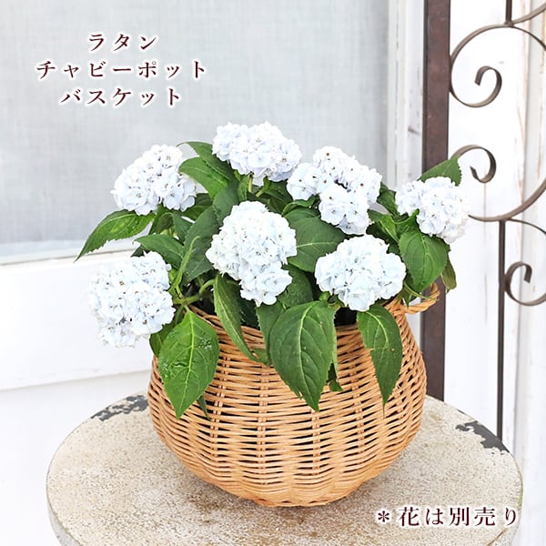 ガーデニング雑貨 | Gardening＆Flower サザンフィールド