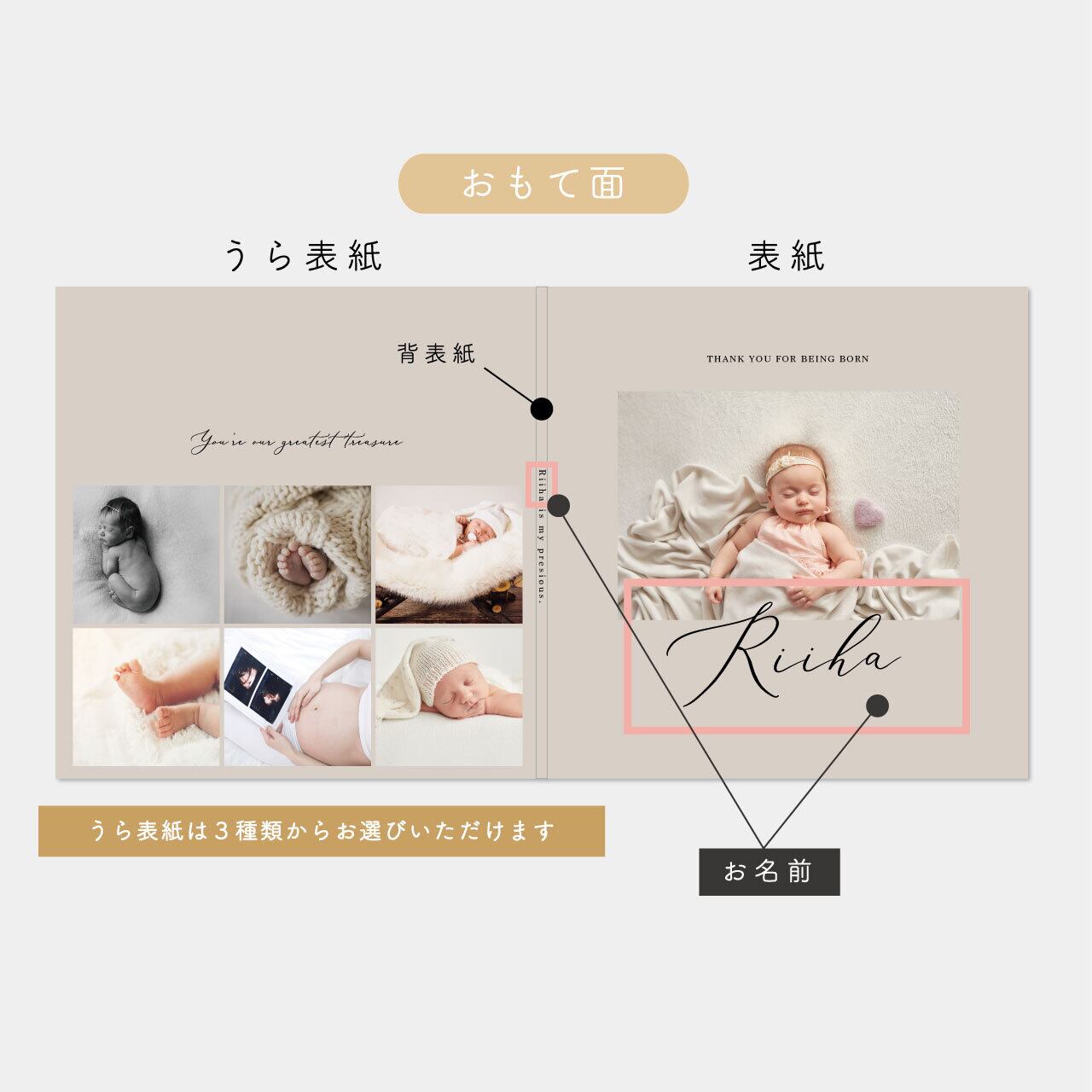 エコーアルバム】#1【2面タイプ】 | PAY ID