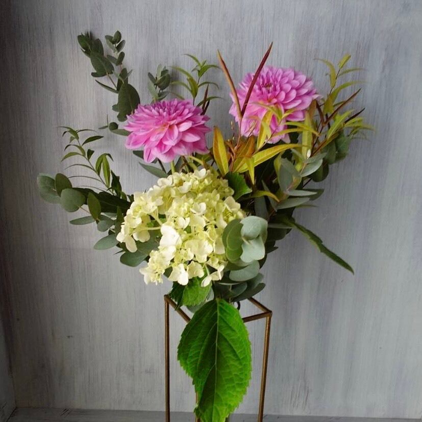 ダリアの切花セット　生花　宅配便配送 ダリア | 新鮮お花問屋 Jp-Farmers.com
