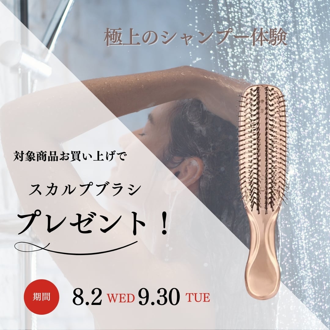 プレゼントキャンペーン対象商品〉SOU.フリーズクレイシャンプー400mL