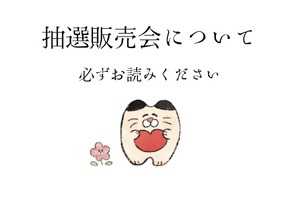 抽選販売会について