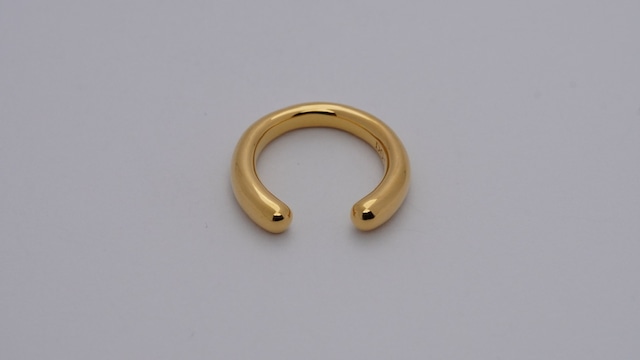 R-008-gold