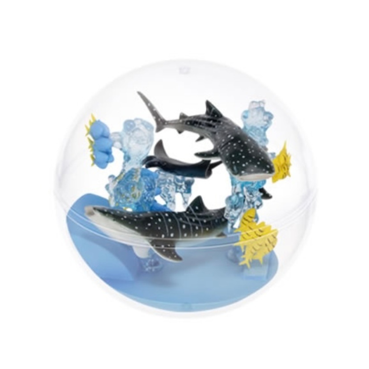 沖縄美ら海水族館限定品 大人気フルコンプリート カプリウム 