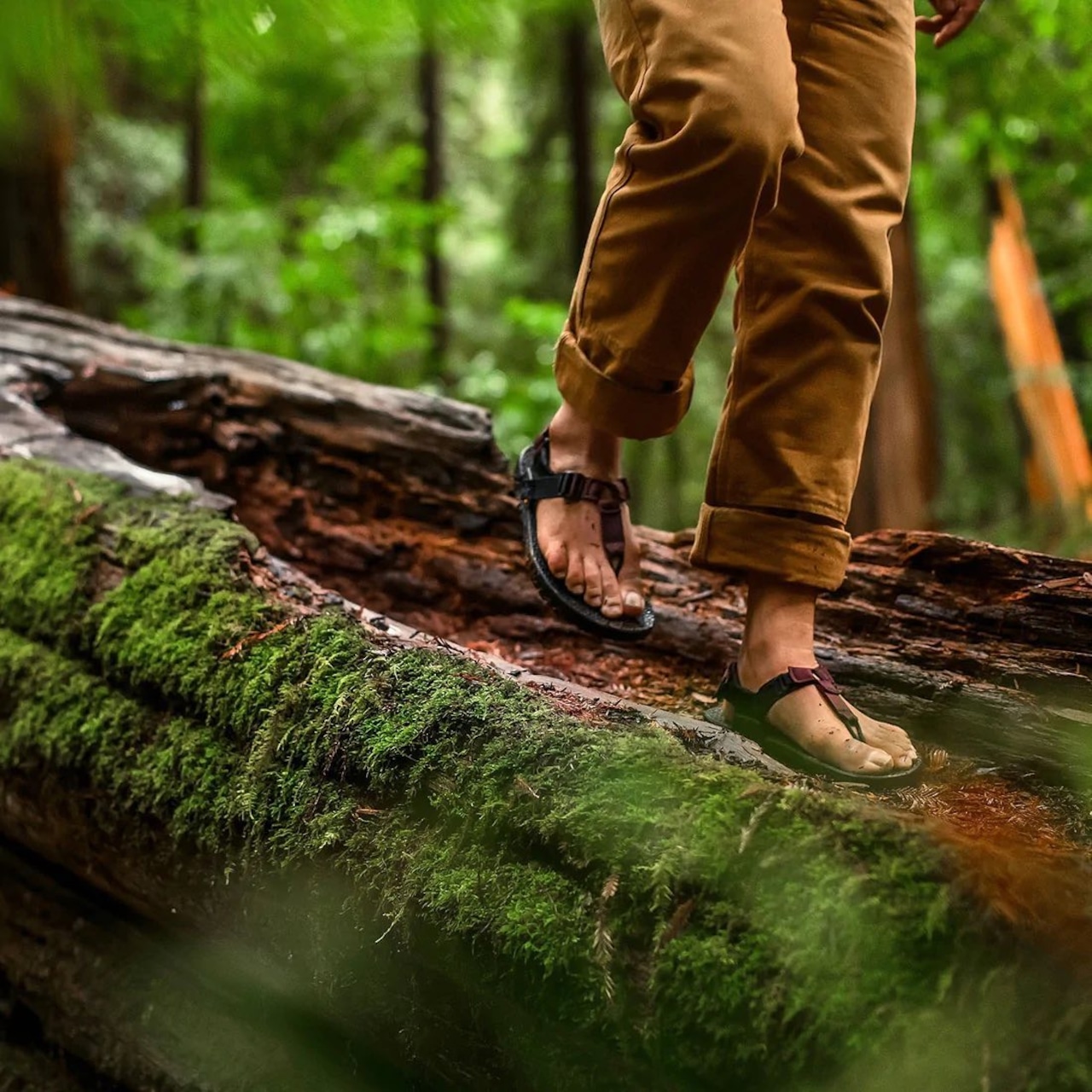 BEDROCK SANDALS / Cairn Adventure Sandals