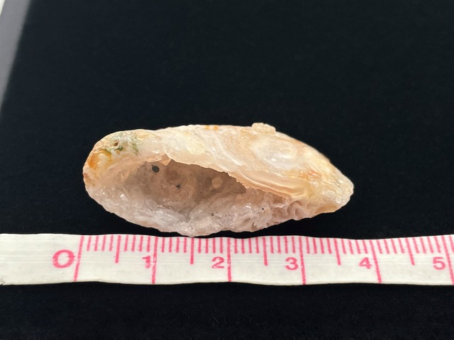 オープンジオード