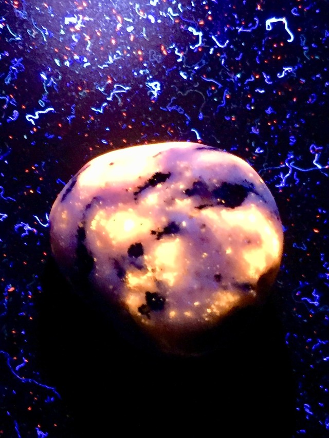 40) ユーパーライト