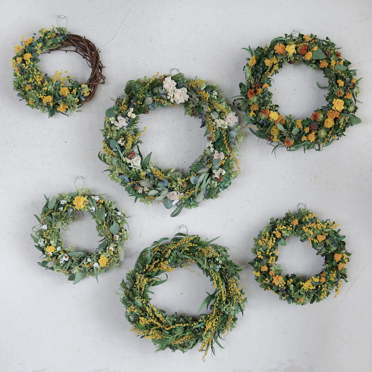 数量限定 約直径24cm】富良野ラベンダーとミモザのリース ＊ フラワー