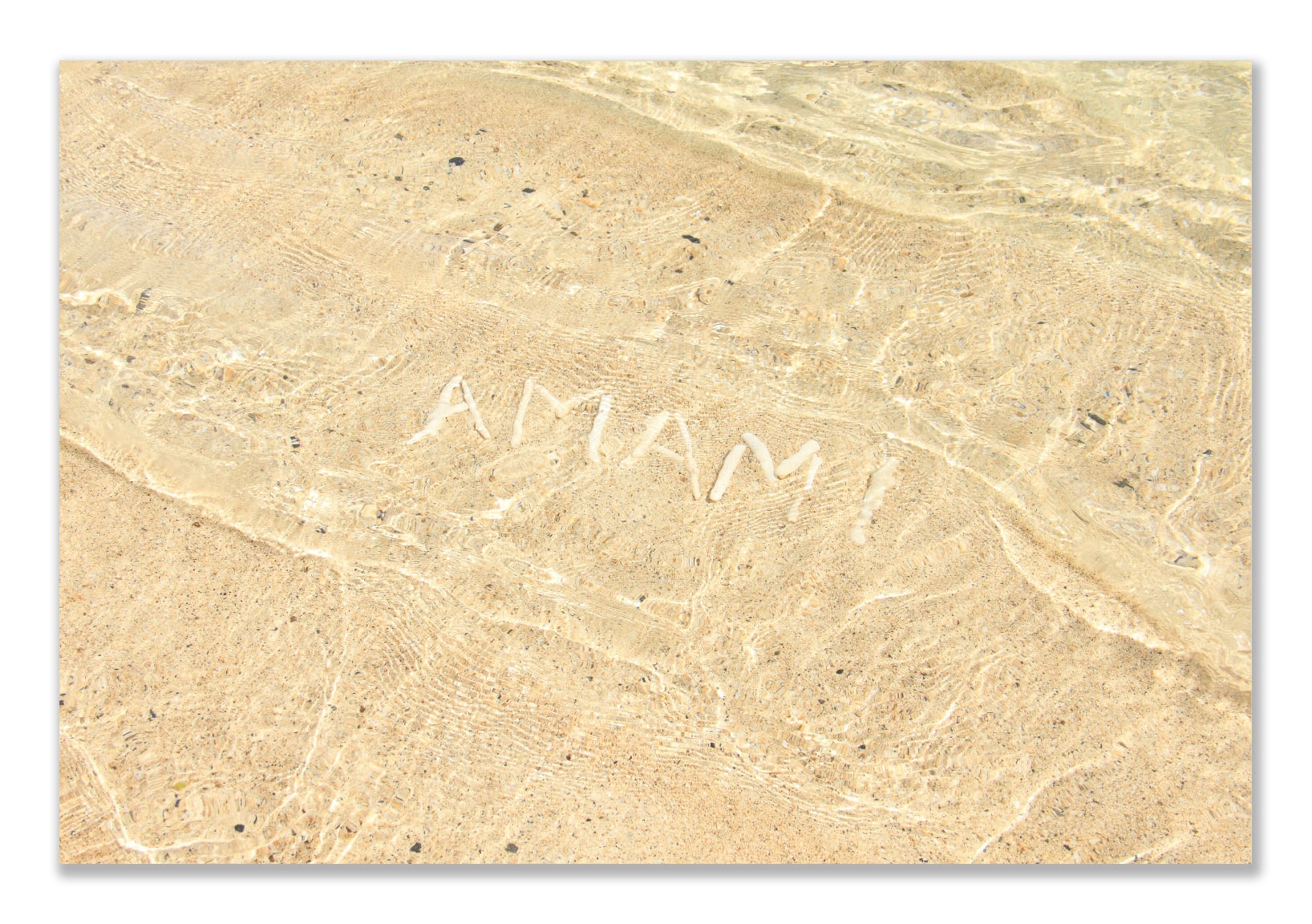 奄美ポストカード「AMAMI」